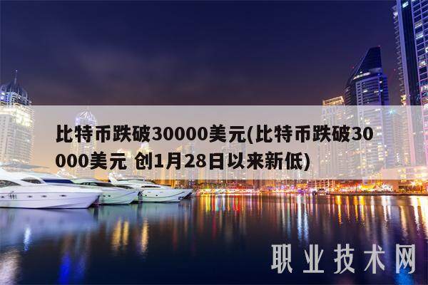 比特币跌破30000美元(比特币跌破30000美元 创1月28日以来新低)-第1张图片-binance下载