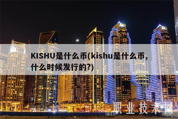 KISHU是什么币(kishu是什么币,什么时候发行的?)-第1张图片-binance下载