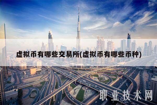 虚拟币有哪些交易所(虚拟币有哪些币种)-第1张图片-binance下载