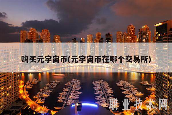 购买元宇宙币(元宇宙币在哪个交易所)-第1张图片-binance下载