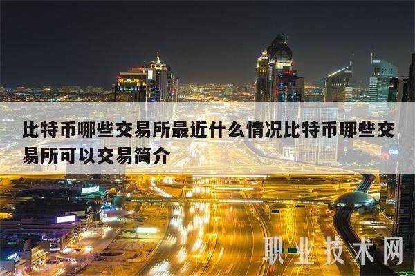比特币哪些交易所最近什么情况比特币哪些交易所可以交易简介-第1张图片-binance下载