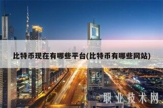比特币现在有哪些平台(比特币有哪些网站)