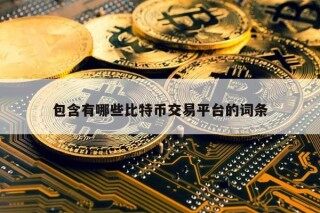 包含有哪些比特币交易平台的词条
