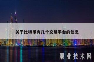 关于比特币有几个交易平台的信息