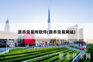派币交易所软件(派币交易网站)