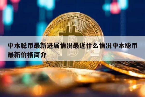 中本聪币最新进展情况最近什么情况中本聪币最新价格简介-第1张图片-binance下载