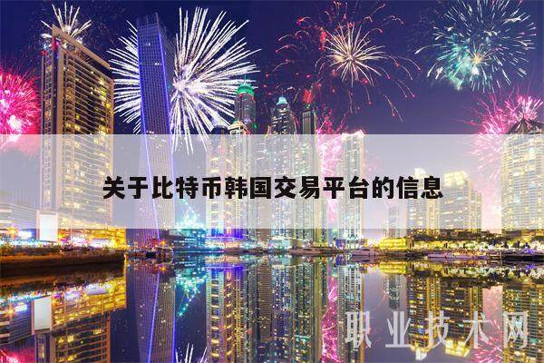关于比特币韩国交易平台的信息-第1张图片-binance下载