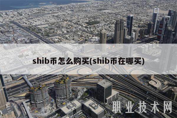 shib币怎么购买(shib币在哪买)-第1张图片-binance下载