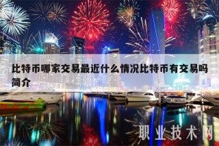 比特币哪家交易最近什么情况比特币有交易吗简介