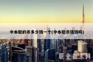 中本聪的币多少钱一个(中本聪币值钱吗)