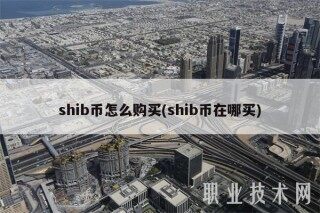 shib币怎么购买(shib币在哪买)