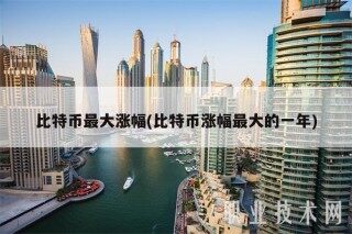 比特币最大涨幅(比特币涨幅最大的一年)