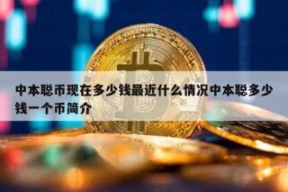 中本聪币现在多少钱最近什么情况中本聪多少钱一个币简介