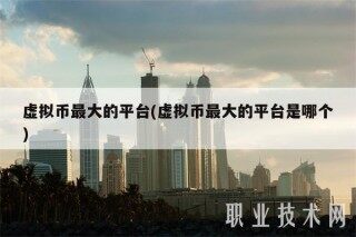 虚拟币最大的平台(虚拟币最大的平台是哪个)