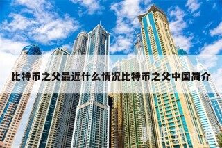 比特币之父最近什么情况比特币之父中国简介