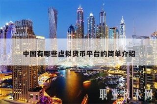 中国有哪些虚拟货币平台的简单介绍