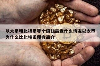 以太币和比特币哪个值钱最近什么情况以太币为什么比比特币便宜简介