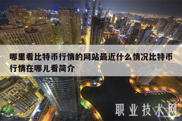 哪里看比特币行情的网站最近什么情况比特币行情在哪儿看简介-第1张图片-binance下载
