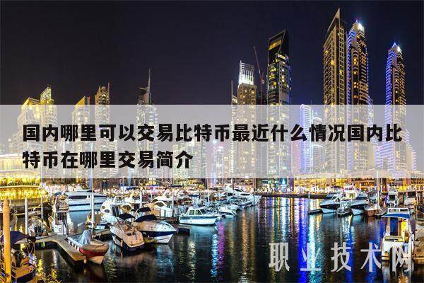 国内哪里可以交易比特币最近什么情况国内比特币在哪里交易简介-第1张图片-binance下载