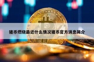 猪币燃烧最近什么情况猪币官方消息简介