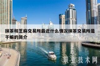 抹茶和芝麻交易所最近什么情况抹茶交易所是干嘛的简介