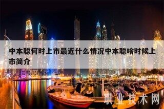 中本聪何时上市最近什么情况中本聪啥时候上市简介