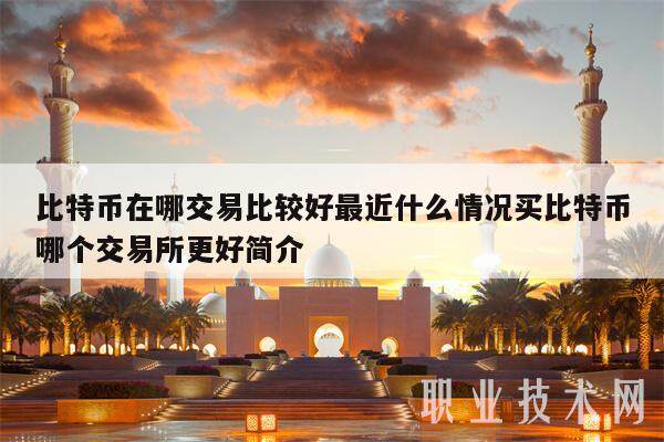 比特币在哪交易比较好最近什么情况买比特币哪个交易所更好简介-第1张图片-binance下载