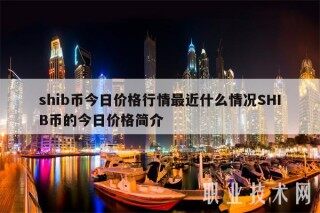 shib币今日价格行情最近什么情况SHIB币的今日价格简介