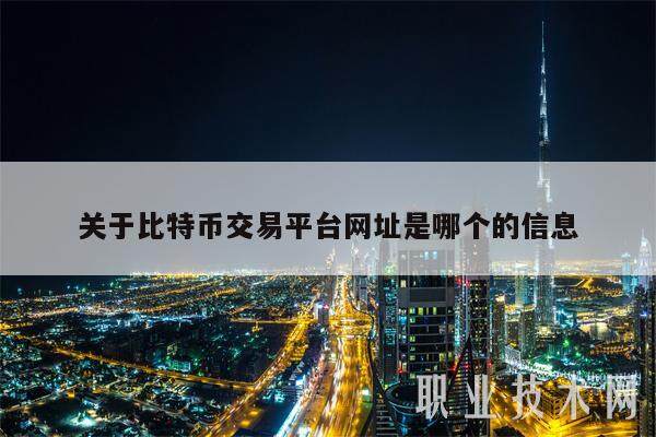 关于比特币交易平台网址是哪个的信息-第1张图片-binance下载