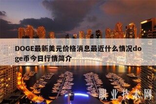 DOGE最新美元价格消息最近什么情况doge币今日行情简介