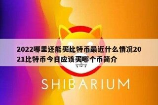 2022哪里还能买比特币最近什么情况2021比特币今日应该买哪个币简介