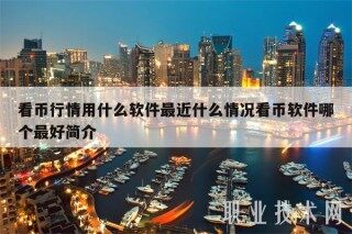 看币行情用什么软件最近什么情况看币软件哪个最好简介