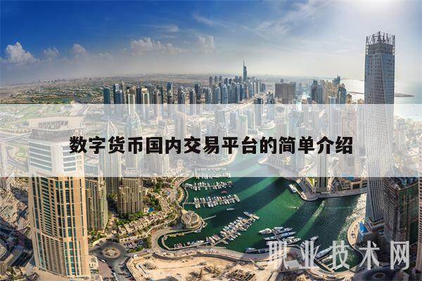 数字货币国内交易平台的简单介绍-第1张图片-binance下载