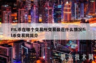 FIL币在哪个交易所交易最近什么情况fil币交易网简介