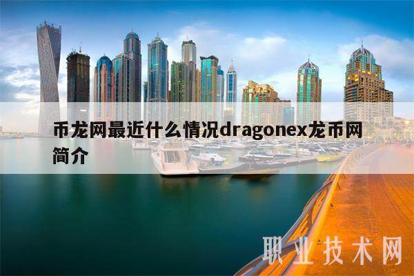 币龙网最近什么情况dragonex龙币网简介-第1张图片-binance下载