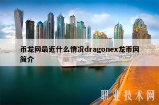 币龙网最近什么情况dragonex龙币网简介