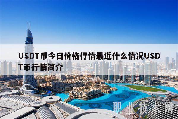 USDT币今日价格行情最近什么情况USDT币行情简介-第1张图片-binance下载