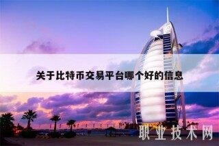 关于比特币交易平台哪个好的信息