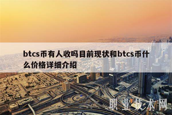 btcs币有人收吗目前现状和btcs币什么价格详细介绍-第1张图片-binance下载