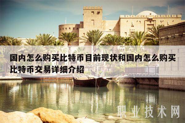 国内怎么购买比特币目前现状和国内怎么购买比特币交易详细介绍-第1张图片-binance下载