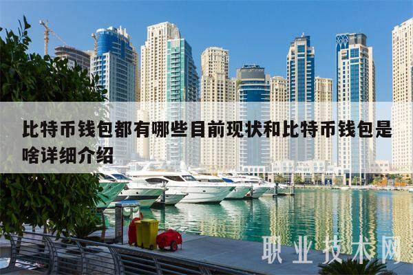 比特币钱包都有哪些目前现状和比特币钱包是啥详细介绍-第1张图片-binance下载