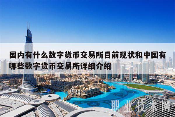 国内有什么数字货币交易所目前现状和中国有哪些数字货币交易所详细介绍-第1张图片-binance下载