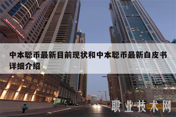中本聪币最新目前现状和中本聪币最新白皮书详细介绍-第1张图片-binance下载
