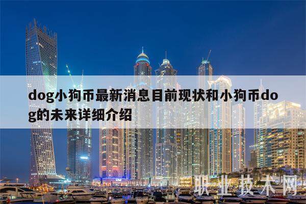 dog小狗币最新消息目前现状和小狗币dog的未来详细介绍-第1张图片-binance下载