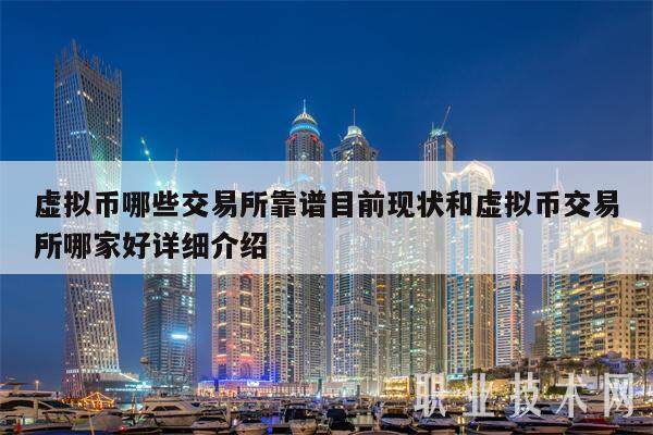 虚拟币哪些交易所靠谱目前现状和虚拟币交易所哪家好详细介绍-第1张图片-binance下载