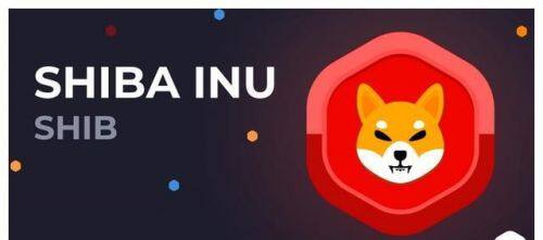 柴犬币如何购买-第1张图片-欧意易下载