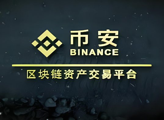 binance提币地址错误怎么办-第1张图片-欧意易下载