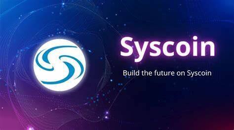 什么是Syscoin币-第1张图片-欧意易下载