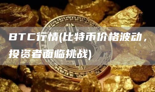 BTC行情 - 比特币价格波动，投资者面临挑战