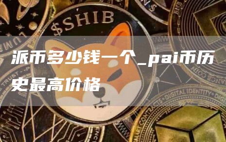 派币多少钱一个_pai币历史最高价格